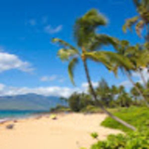 Meet your Posher, Logan